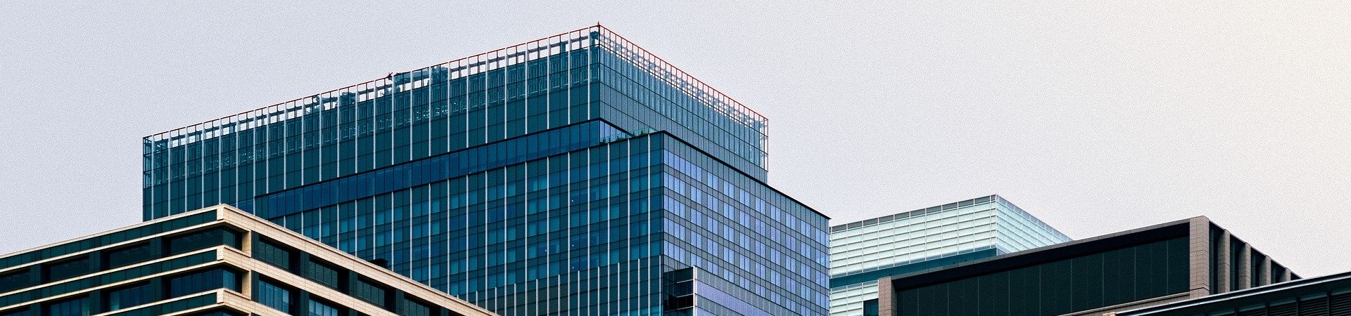 <strong>关于林恩</strong>